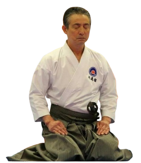 Tenshinkan Karate Pose 1