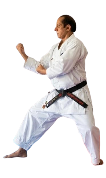 Karate Defense Pose